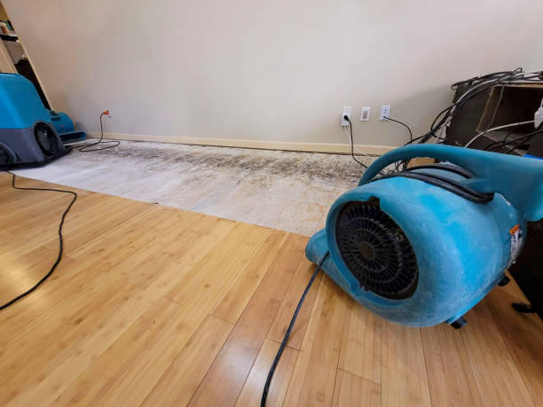 Professional Flood Damage Cleanup technician working in West Liberty, OH